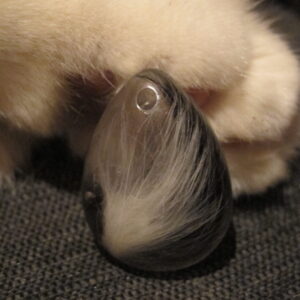 In Resin eingegossene Tierhaare